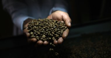 A worker checks roasted coffee beans at a farm near Brasilia, Brazil, July 15, 2025. (Reuters Photo)