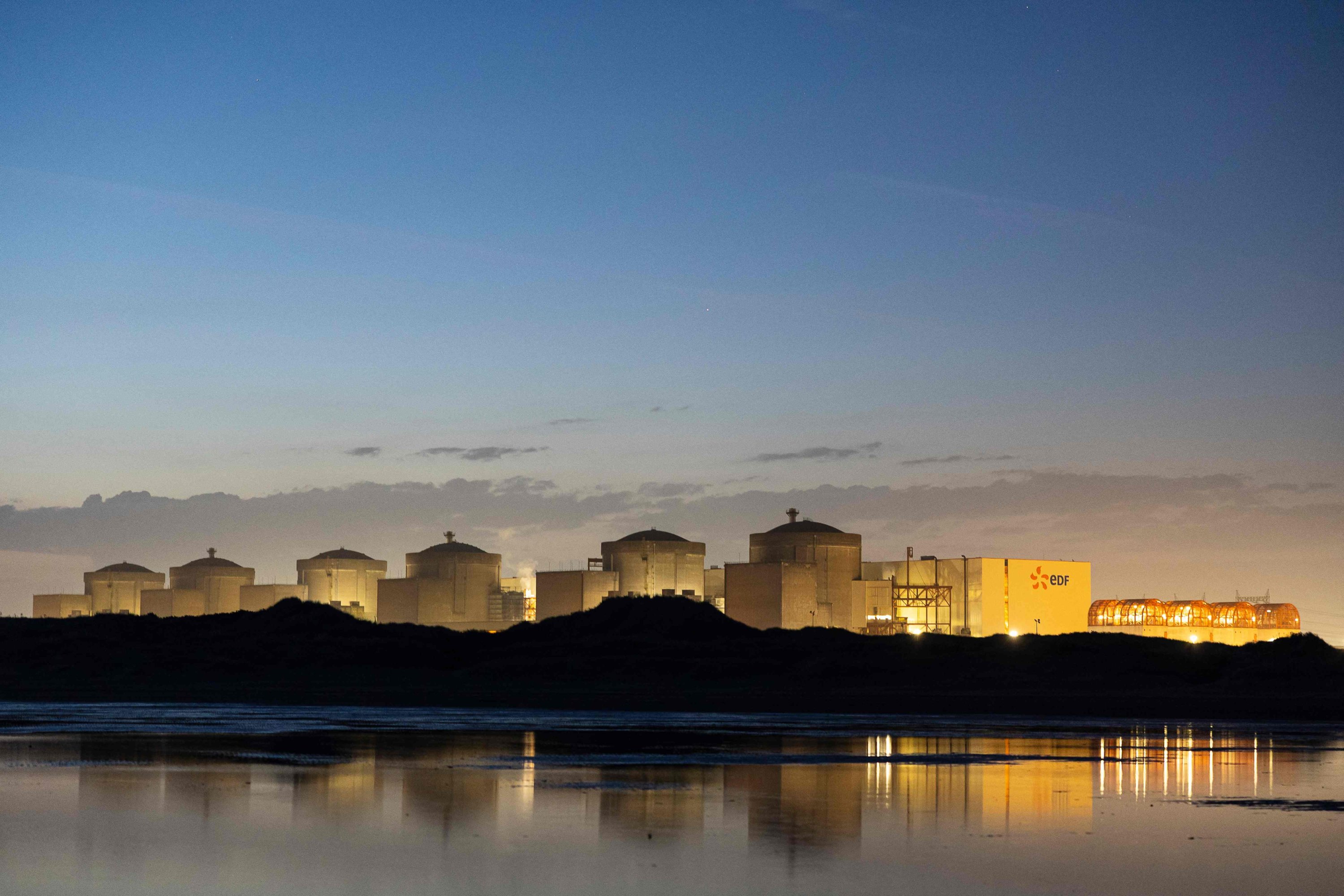 Jellyfish swarm forces shutdown of nuclear plant in France