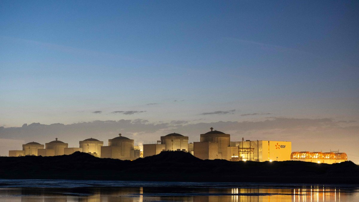Jellyfish swarm forces shutdown of nuclear plant in France