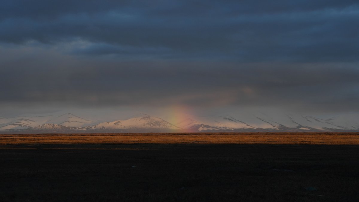 Diplomacy on glaciers: Alaska summit and the future of Russia-Ukraine war