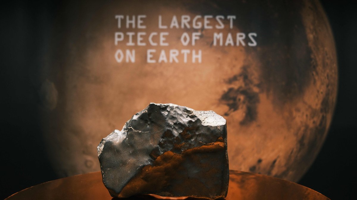 Selling Martian meteorites undermines global heritage: Scientists