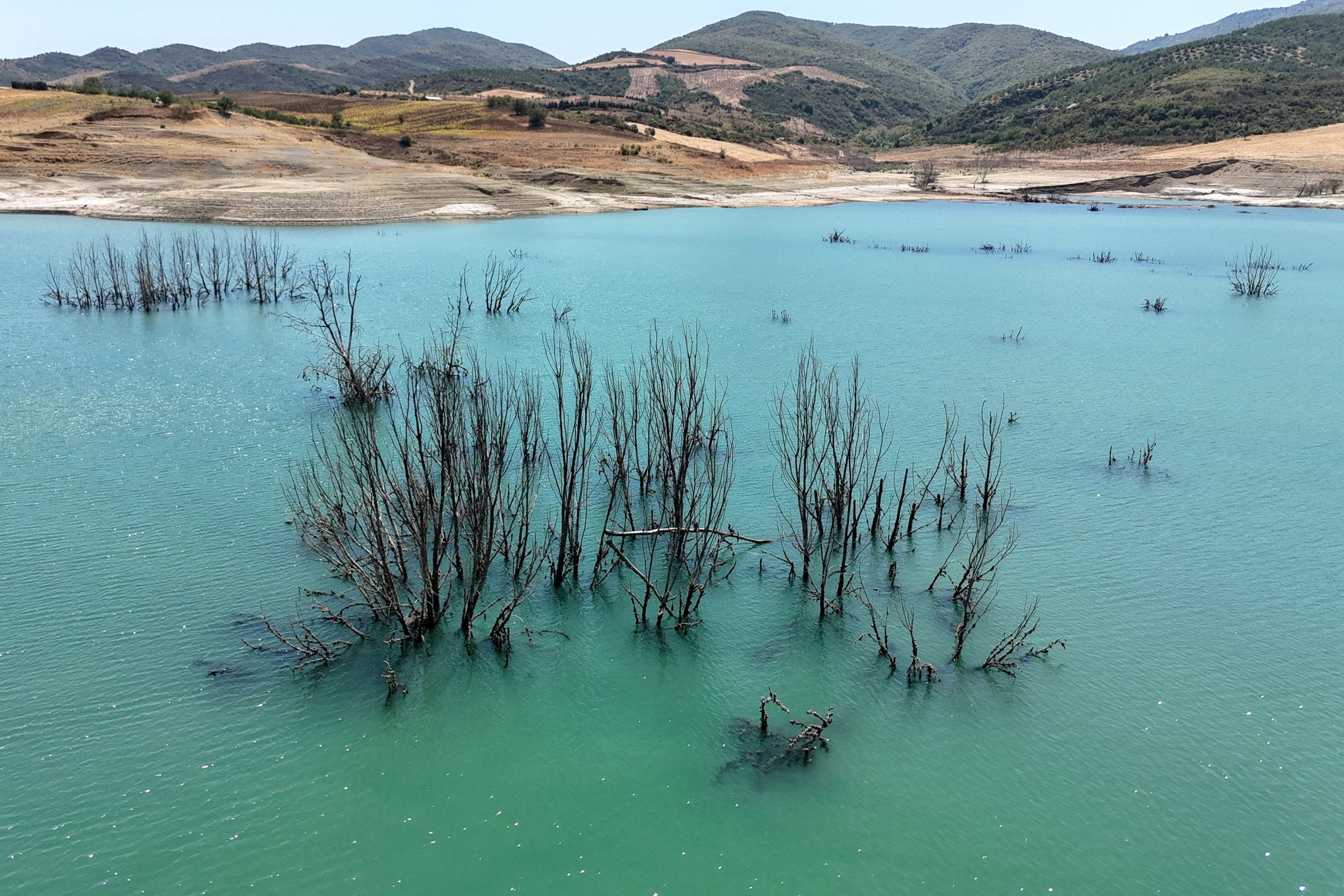 A drone view shows clusters of trees submerged in the low waters of Naip Dam, as drought conditions continue to affect water levels, in Süleymanpaşa, northwestern Tekirdağ province, Türkiye, Aug. 11, 2025. (Reuters Photo)