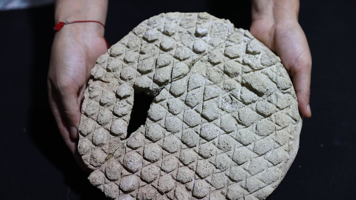 Baklava-pattern bread mold emerges at Türkiye’s Harran ruins