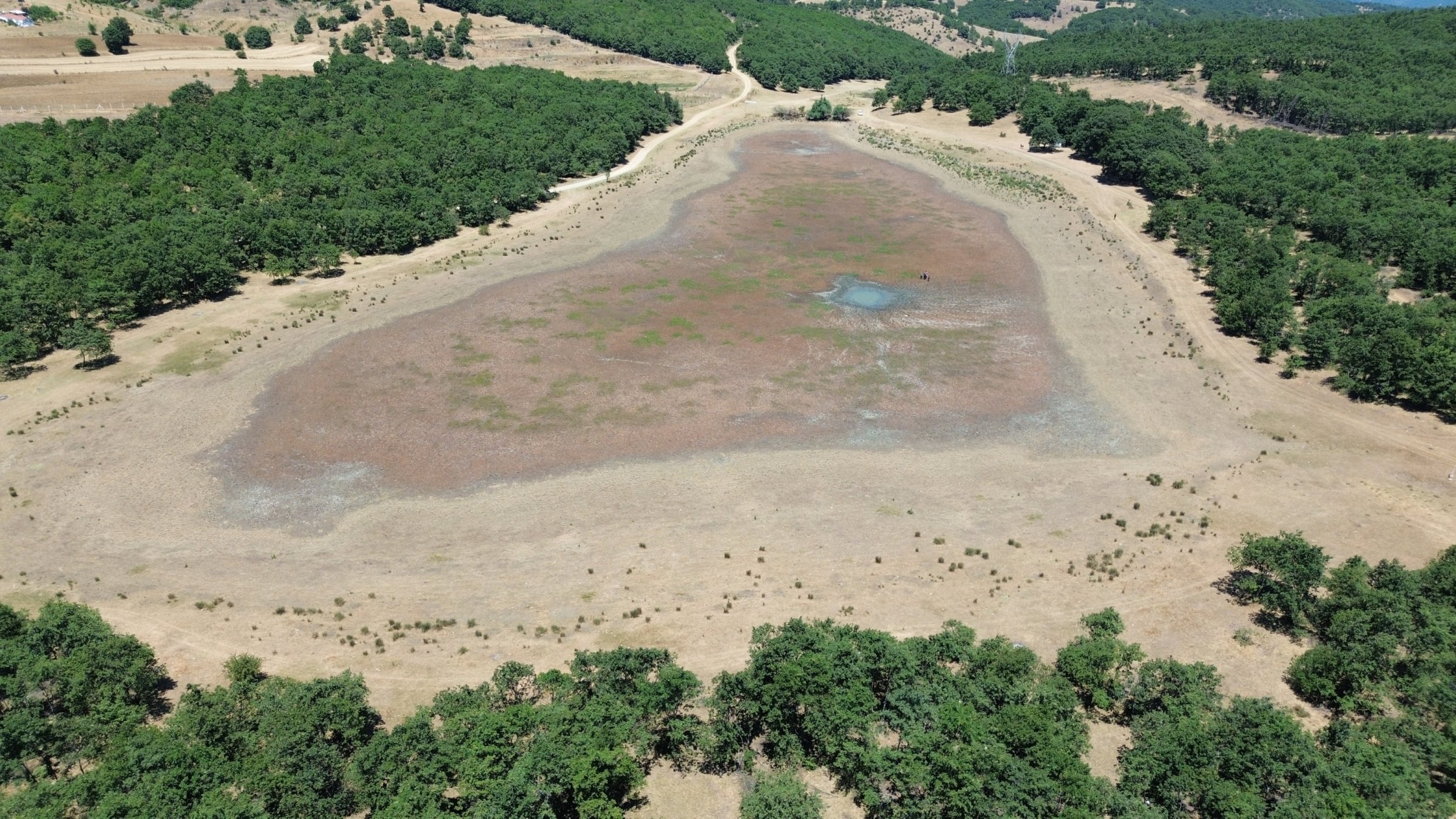 Türkiye’s ruling party launches nationwide climate awareness push