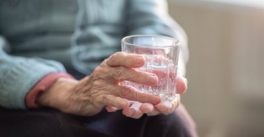 Elderly individuals should drink at least six to eight glasses of water daily and consume hydrating fruits and vegetables to prevent dehydration and related health risks during hot weather. (Shutterstock Photo)