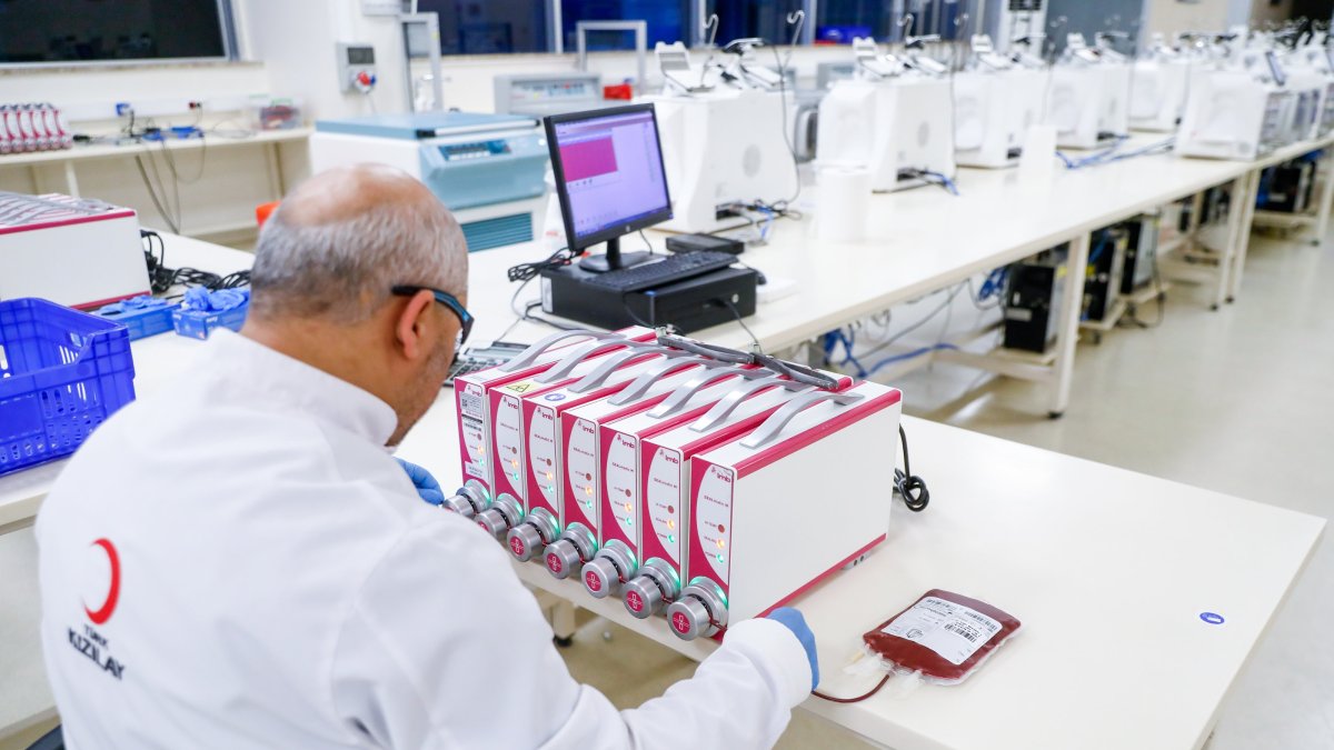 A Turkish Red Crescent (Kızılay) team member carefully processes stem cell samples in the laboratory, Ankara, Türkiye, Aug. 26, 2025. (AA Photo)
