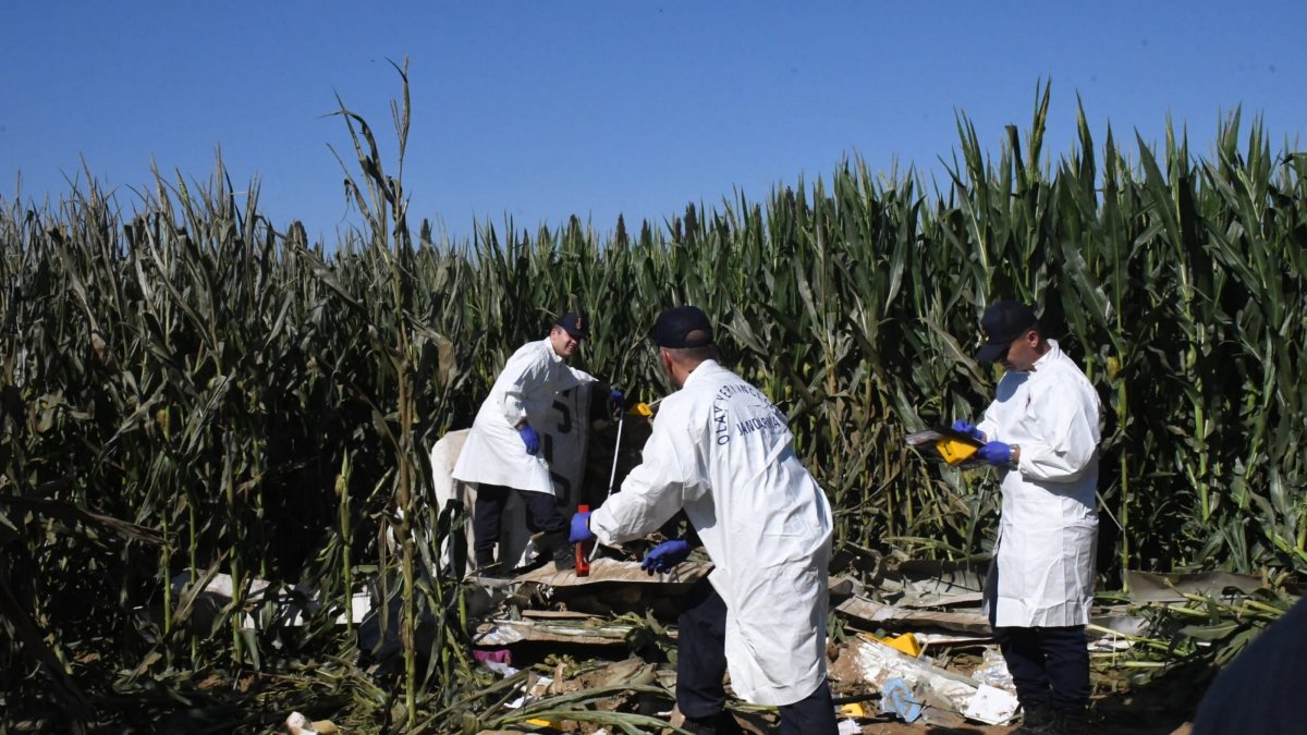Investigation teams examine the wreckage of the Cessna-172 training aircraft that crashed in a corn field, Izmir, Türkiye, Sept. 3, 2025. (AA Photo)