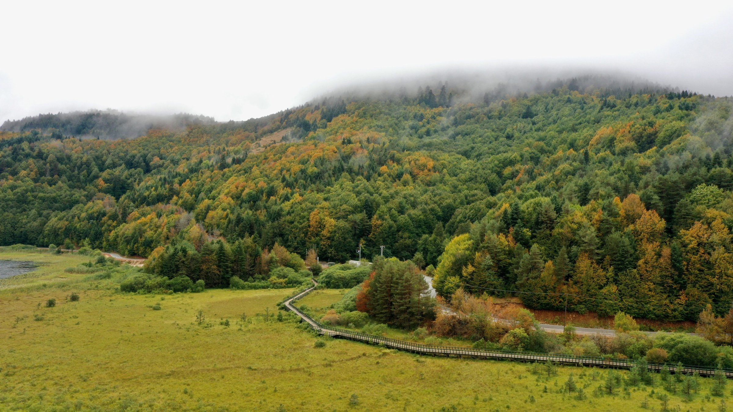 Forests in shades of yellow and green at Abant Lake National Park create a stunning visual display, Bolu, Türkiye, Sept. 6, 2025. (AA Photo)
