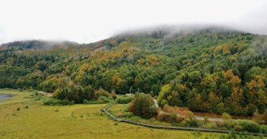 Forests in shades of yellow and green at Abant Lake National Park create a stunning visual display, Bolu, Türkiye, Sept. 6, 2025. (AA Photo)