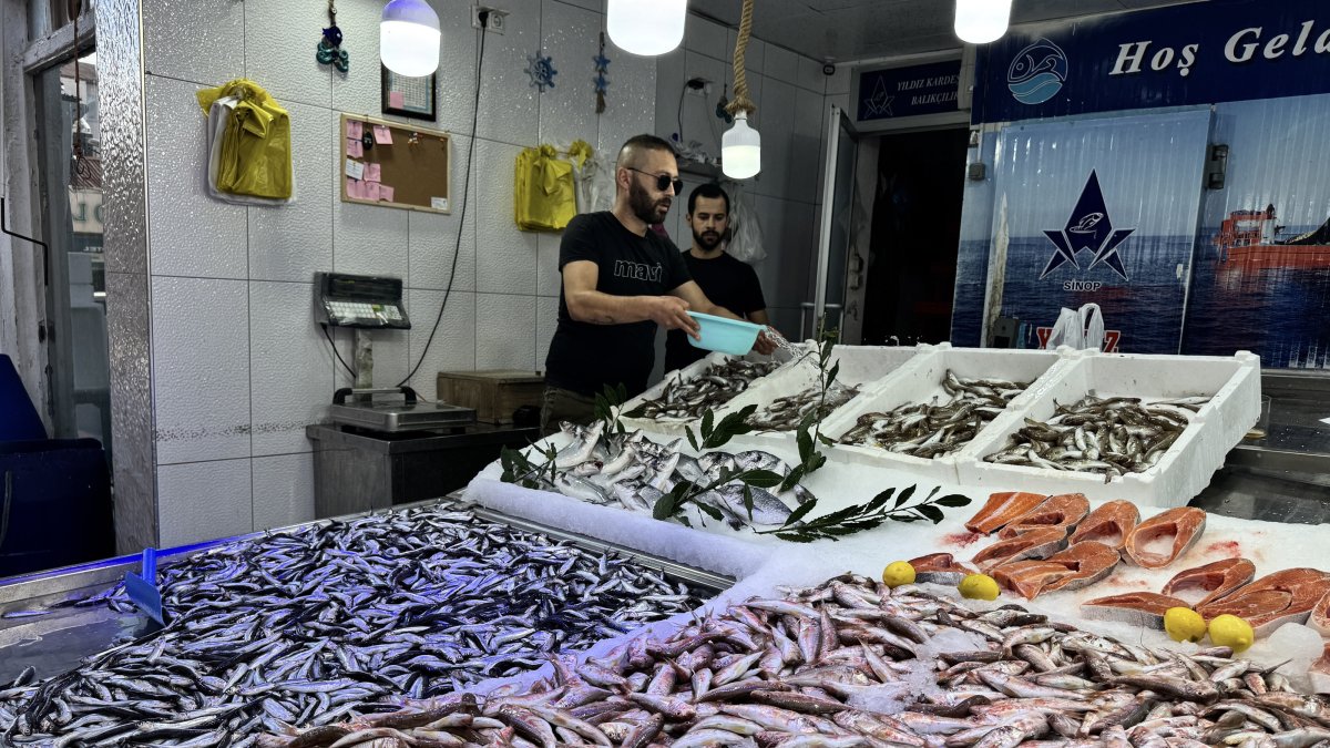 A fish shop owner displays fresh anchovies and other catches in his shop, Sinop, Türkiye, Sept. 11, 2025. (AA Photo)