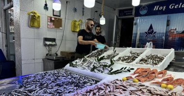 A fish shop owner displays fresh anchovies and other catches in his shop, Sinop, Türkiye, Sept. 11, 2025. (AA Photo)