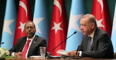 President Recep Tayyip Erdoğan speaks at a joint press conference with his Somali counterpart Hassan Sheikh Mohamud, Ankara, Türkiye, July 6, 2022. (AA Photo)