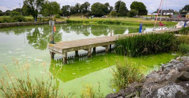 Blue-green algae-infested water is pictured in Battery Harbor on the shores of Lough Neagh, Northern Ireland, Aug. 22, 2025. (AFP Photo)