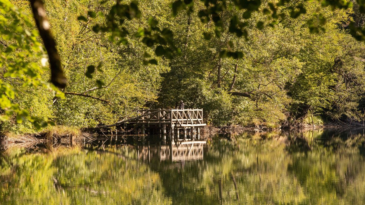 A general view of Yedigöller National Park, Bolu, northern Türkiye, Sept. 17, 2025. (AA Photo)