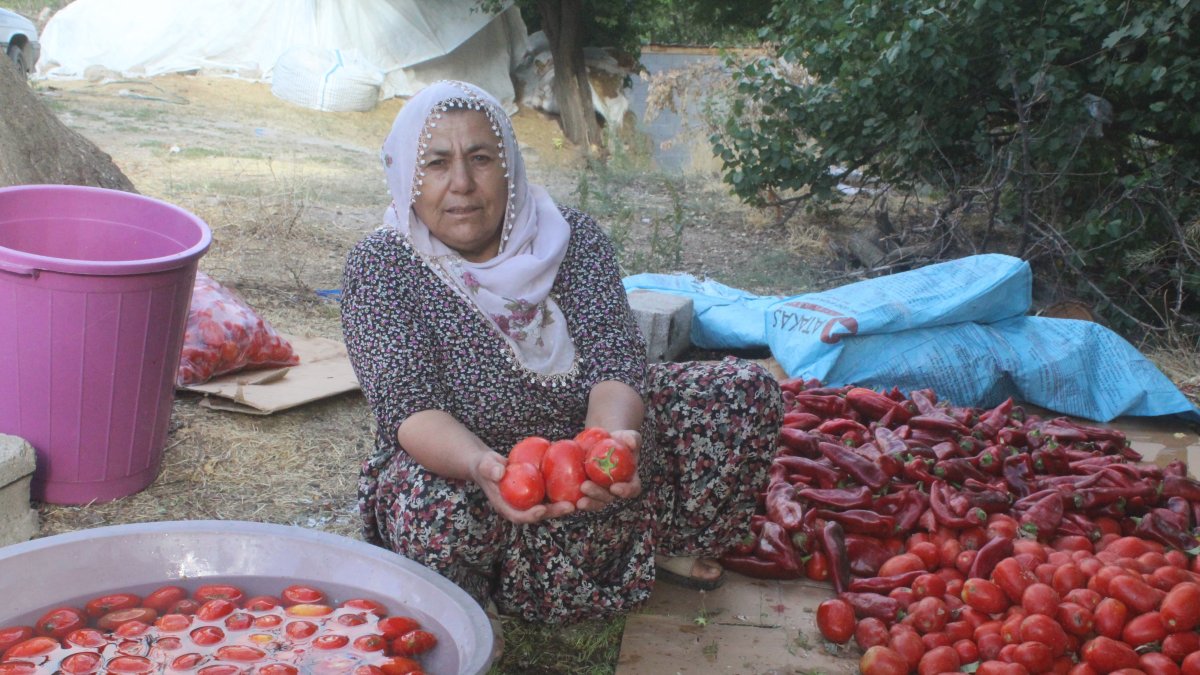 A woman prepares and washes tomatoes for winter paste, Yeşilhisar, Kayseri, Türkiye, Sept. 22, 2025. (DHA Photo)