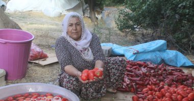 A woman prepares and washes tomatoes for winter paste, Yeşilhisar, Kayseri, Türkiye, Sept. 22, 2025. (DHA Photo)