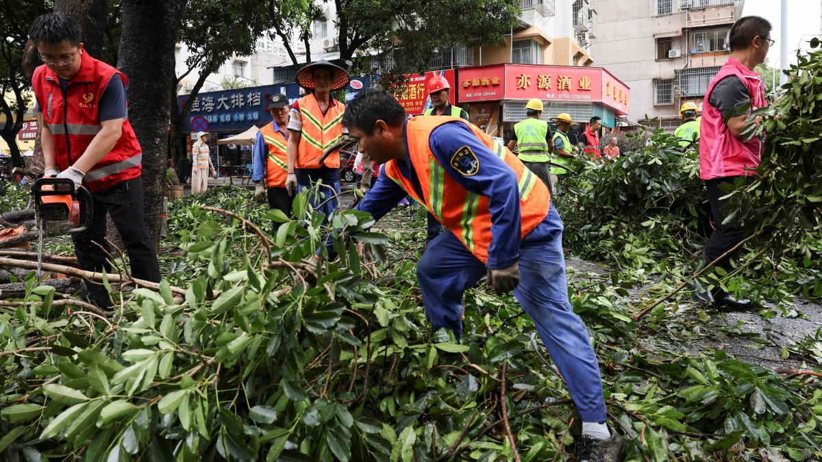 People work to remove fallen branches from the street, in the aftermath of Super Typhoon Ragasa in Zhuhai, Guangdong Province, China, Sept. 25, 2025. (Reuters Photo)