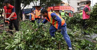 People work to remove fallen branches from the street, in the aftermath of Super Typhoon Ragasa in Zhuhai, Guangdong Province, China, Sept. 25, 2025. (Reuters Photo)