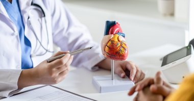 A cardiologist explains heart disease using an anatomical heart model during a consultation with a patient. (Shutterstock Photo)