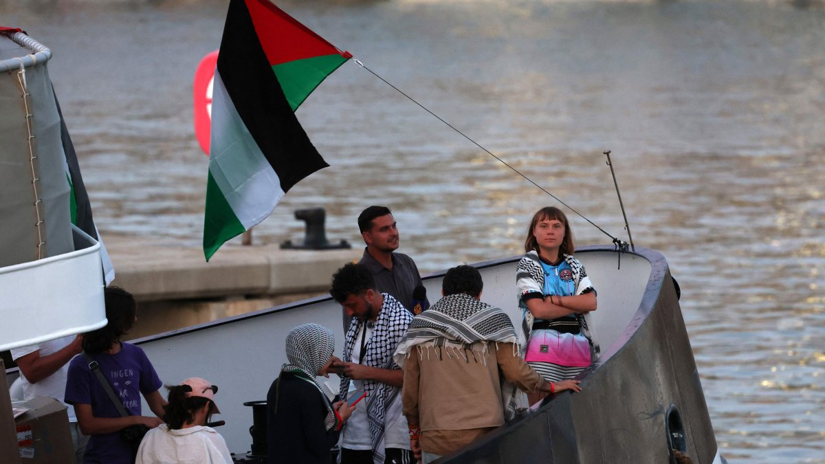 Activists begin hunger strike, protests surge as Israel seizes flotilla
