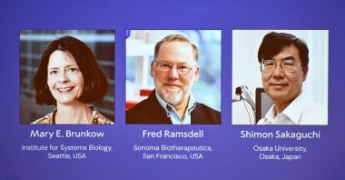 Mary E Brunkow, Fred Ramsdell and Shimon Sakaguchi are awarded this year&#039;s Nobel Prize in Medicine or Physiology, Karolinska Institutet, Stockholm, Sweden, Oct. 6, 2025. (Reuters Photo)