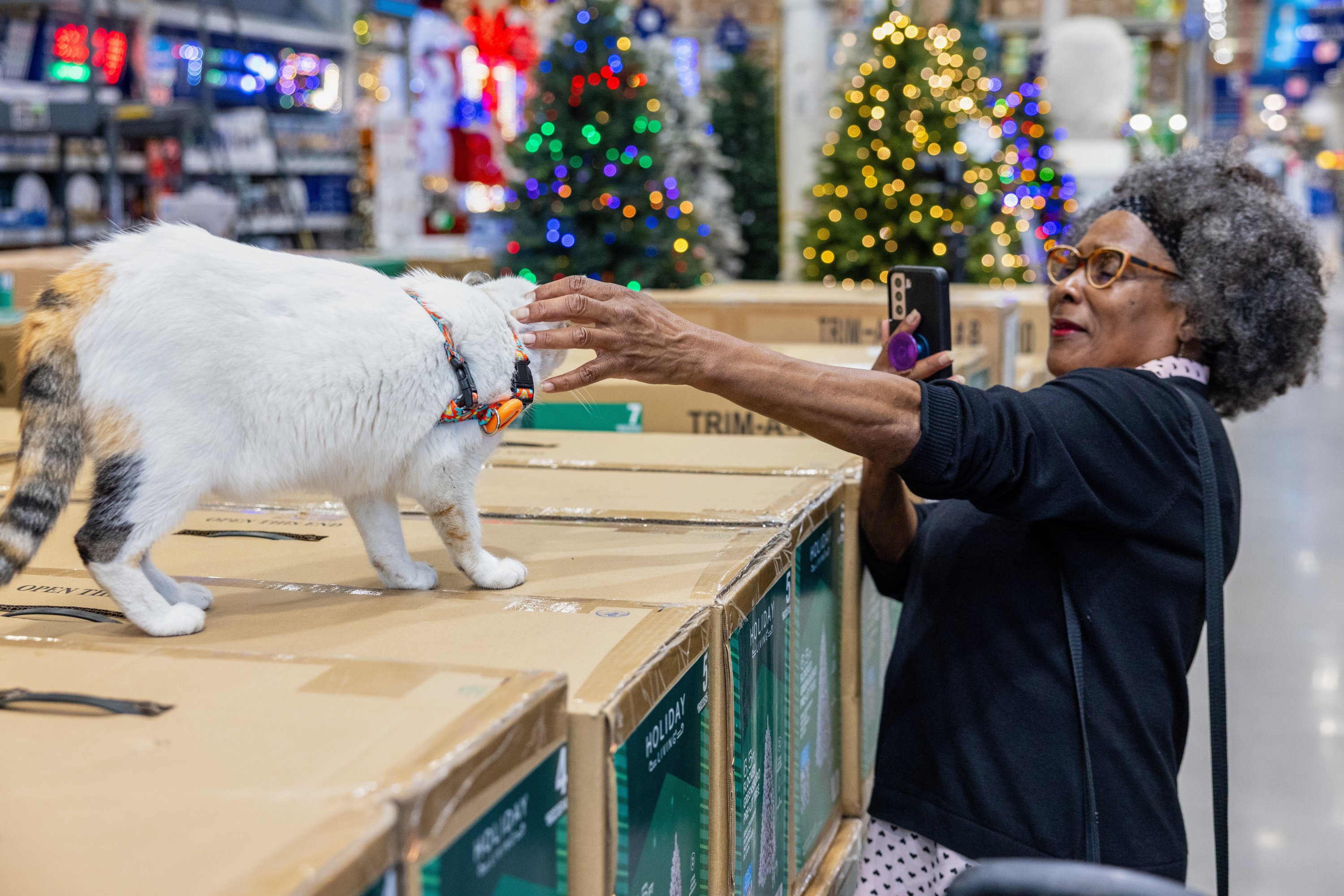 In this photo provided by Lowe's, a customer welcomes back Francine, the store cat, after she disappeared unexpectedly in Richmond, Virginia, U.S., Oct. 7, 2025. (AP Photo)
