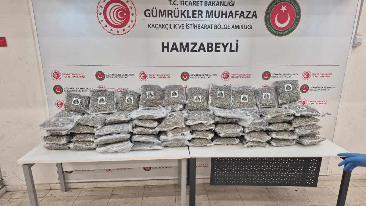 Turkish, Spanish authorities seize 1.7 tons of cocaine in fossil flour