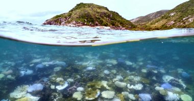 Bleached and dead coral surround Lizard Island on the Great Barrier Reef, about 270 kilometers (167 miles) north of Cairns, Australia, April 5, 2024. (AFP Photo)