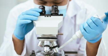 Scientists at the University of Cambridge have developed embryo-like structures from stem cells that produce human blood cells, marking a significant advancement in regenerative medicine, according to media reports. (Shutterstock Photo)