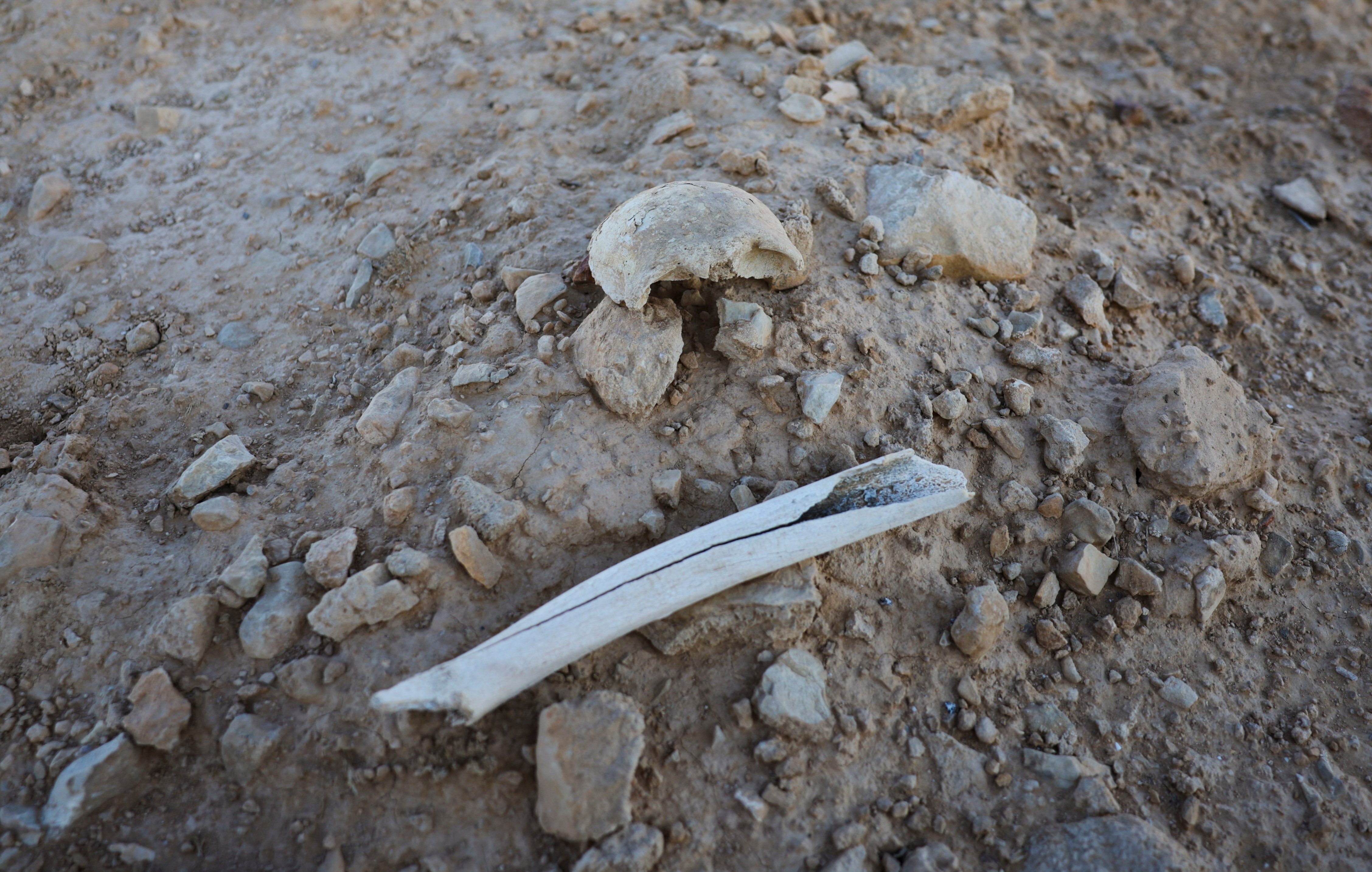 Assad’s secret op buries thousands of Syrians in desert mass grave
