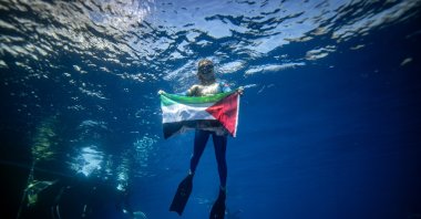Turkish national diver Şahika Ercümen poses for a photo with a Palestinian flag in the Mediterranean Sea. (AA Photo)