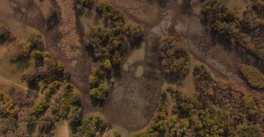 An Aerial view of the dried-up wetlands of the Karacabey Floodplain Forest, Bursa, Türkiye, Oct. 19, 2025. (DHA Photo)