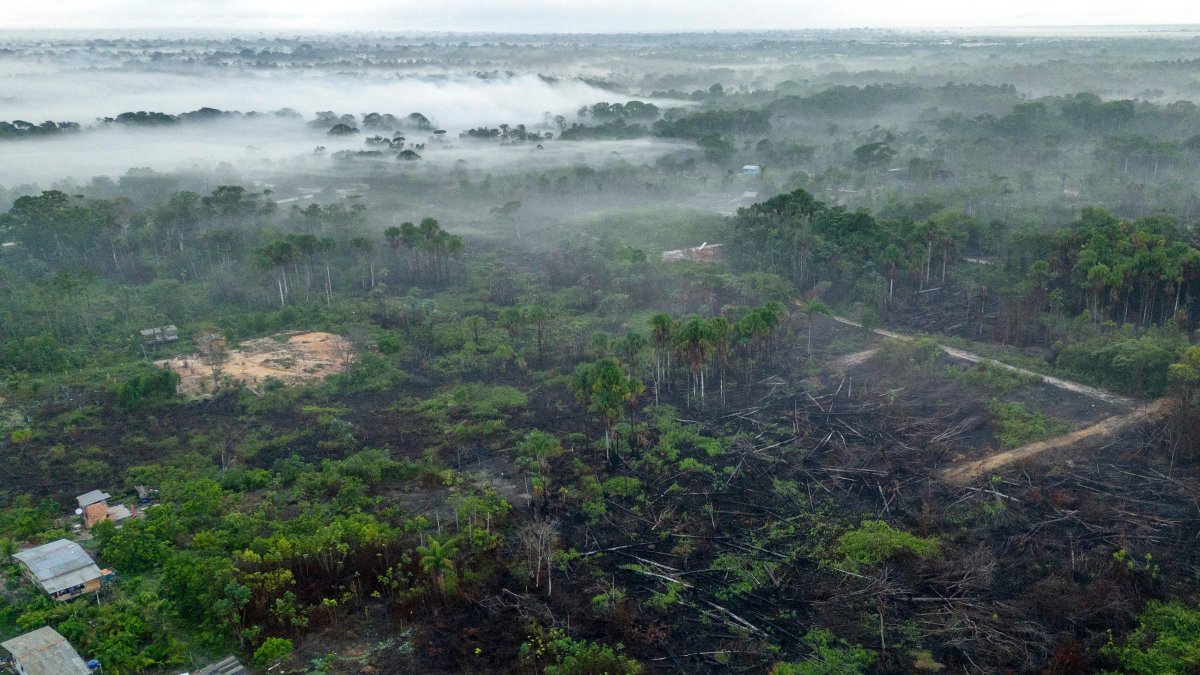 Aerial view of land for sale after being affected by forest fires in the prime area of Breves, in the Amazon region of the Marajo archipelago, Para State, Brazil, Dec. 9, 2024. (AFP Photo)