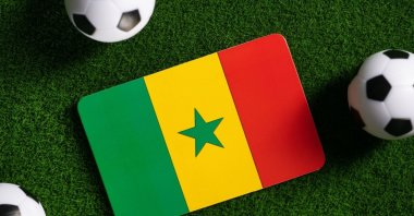 The Senegal flag on the pitch surrounded by footballs. (Shutterstock Photo)