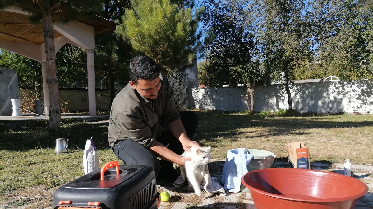Imam Yunus Çaykara bathes a cat in his care, setting an example for compassion for animals, Erzurum, Türkiye, Oct. 22, 2025. (AA Photo)