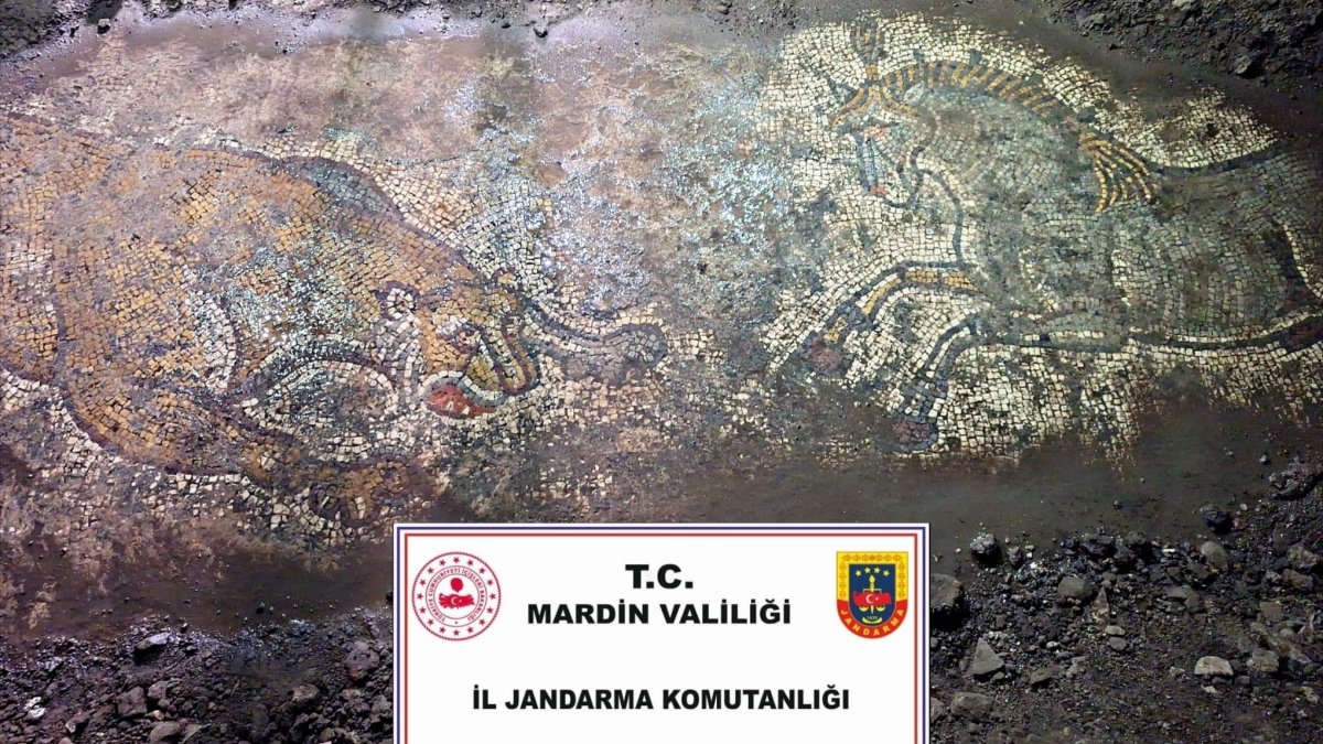 The mosaic estimated to be around 1,500 years old and dating back to the Late Roman period unearthed in Türkiye’s southeastern Mardin province, in this photo released on Oct. 22, 2025. (IHA Photo)
