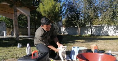 Imam Yunus Çaykara bathes a cat in his care, setting an example for compassion for animals, Erzurum, Türkiye, Oct. 22, 2025. (AA Photo)