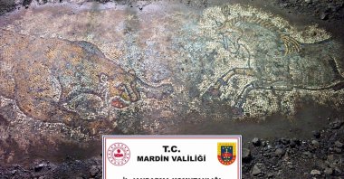 The mosaic estimated to be around 1,500 years old and dating back to the Late Roman period unearthed in Türkiye’s southeastern Mardin province, in this photo released on Oct. 22, 2025. (IHA Photo)