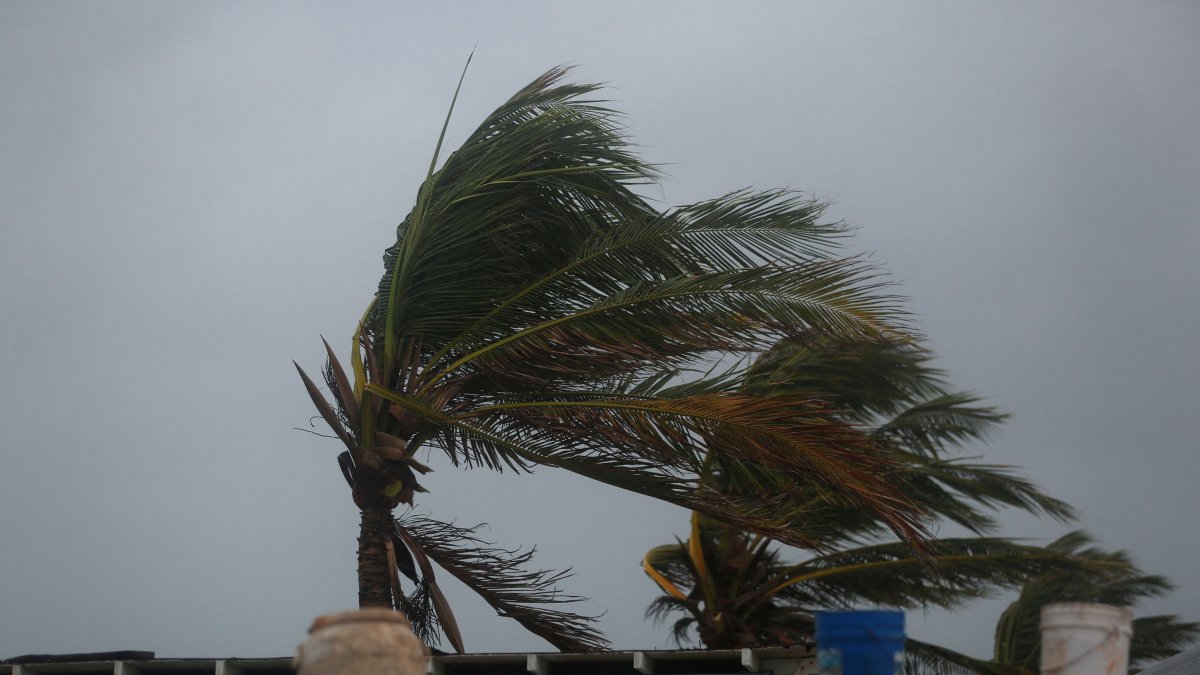 Palm trees are shaken by the wind, ahead of Hurricane Melissa at Hellshire Beach, Hellshire, Jamaica, Oct. 26, 2025. (Reuters Photo)