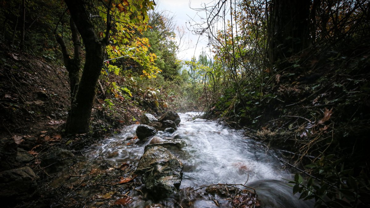 Spring water flows through farmland, reviving vegetable and fruit gardens after 20 years, Balıkesir, Türkiye, Oct. 28, 2025. (AA Photo)
