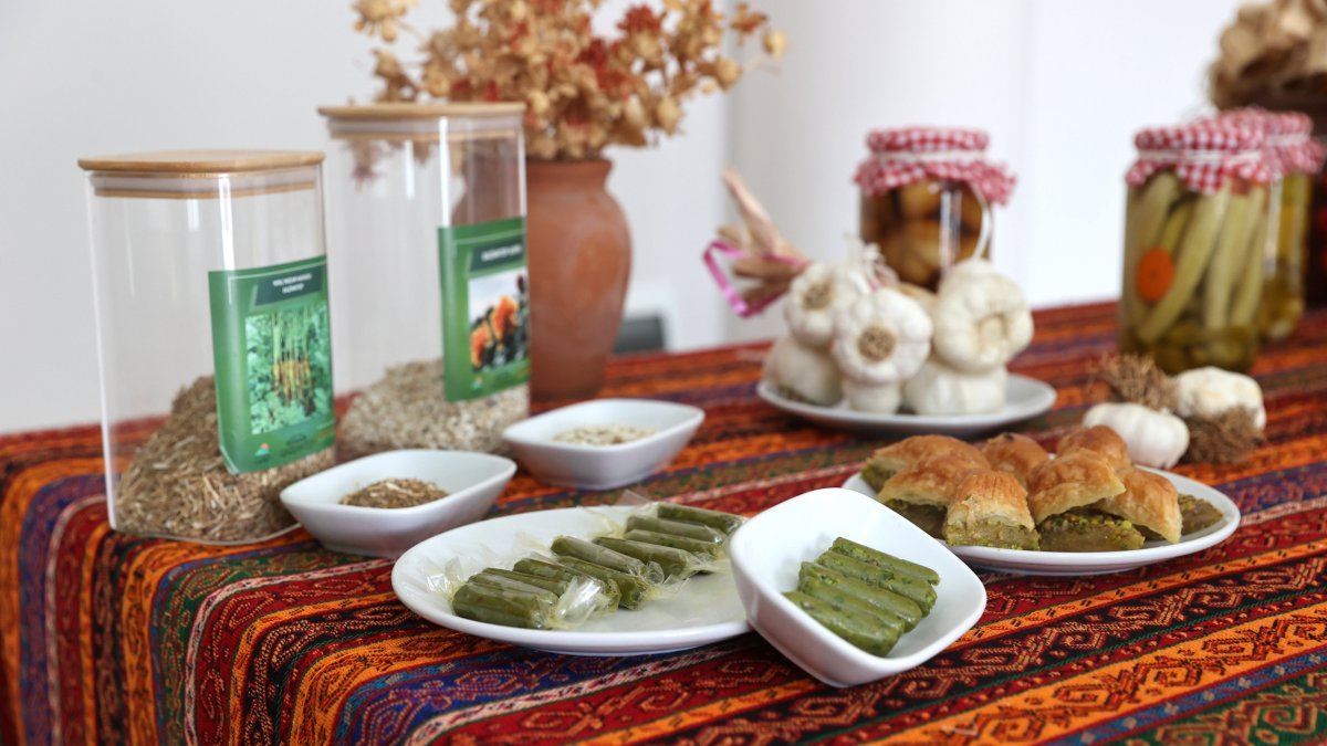 A table with a selection of Gaziantep’s traditional desserts and local specialties, Gaziantep, southeastern Türkiye, Oct. 22, 2025. (AA Photo)