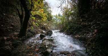 Spring water flows through farmland, reviving vegetable and fruit gardens after 20 years, Balıkesir, Türkiye, Oct. 28, 2025. (AA Photo)