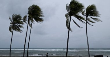 A man herds cattle along the coastline ahead of Hurricane Melissa&#039;s landfall, Santiago de Cuba, Cuba, Oct. 28, 2025. (Reuters Photo)