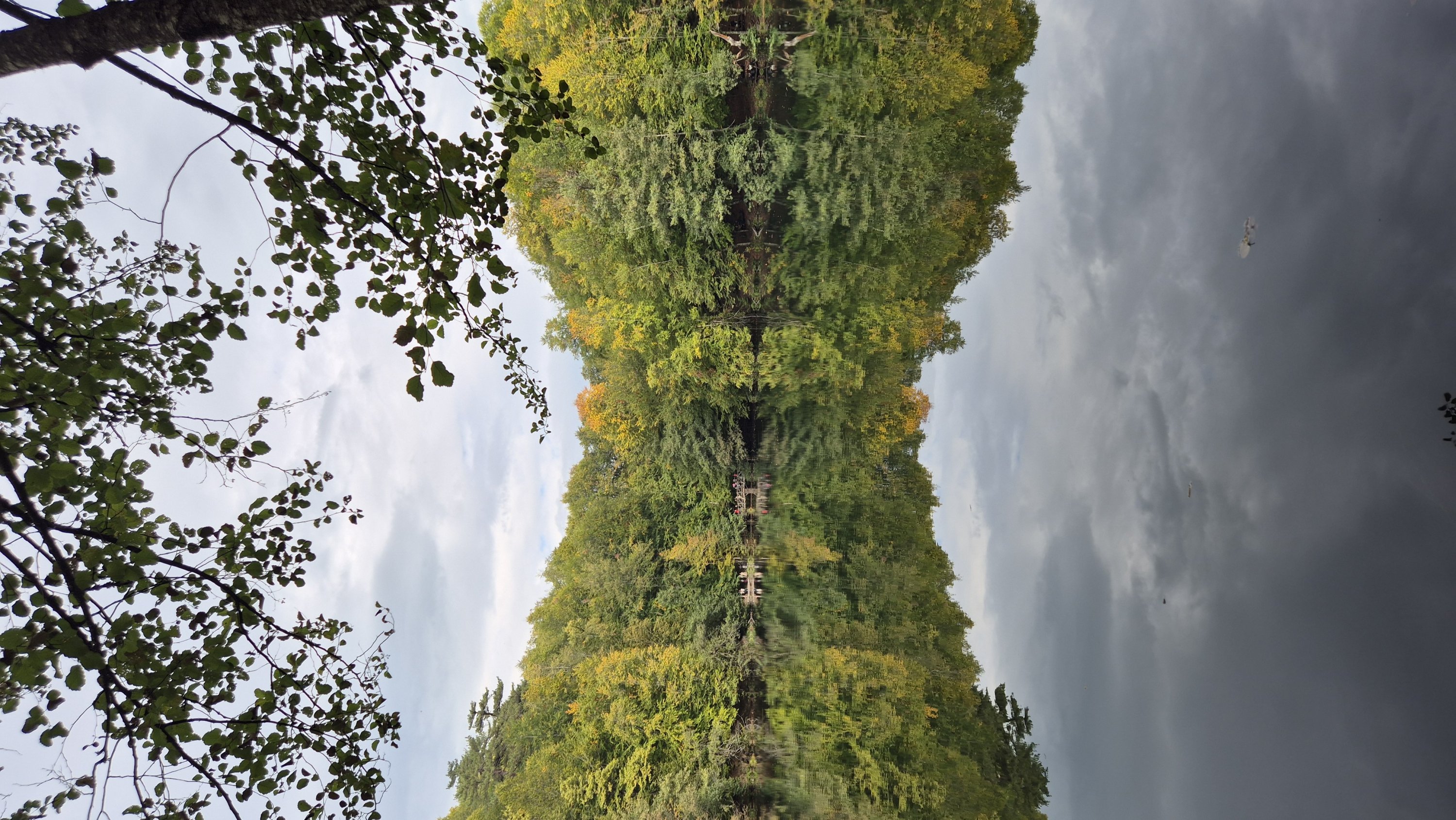 A view of Yedigöller National Park, Bolu, northern Türkiye, Oct. 18, 2025. (Photo by Ayşe Sena Aykın)