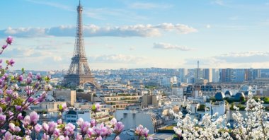 The famous Eiffel Tower and the roofs of Paris, France.