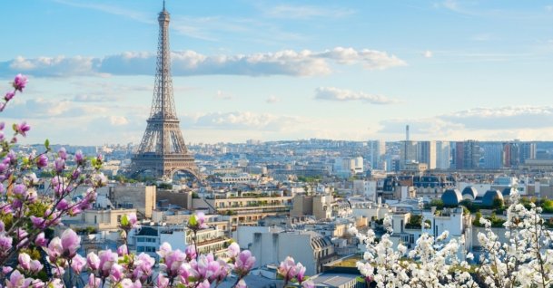 The famous Eiffel Tower and the roofs of Paris, France.