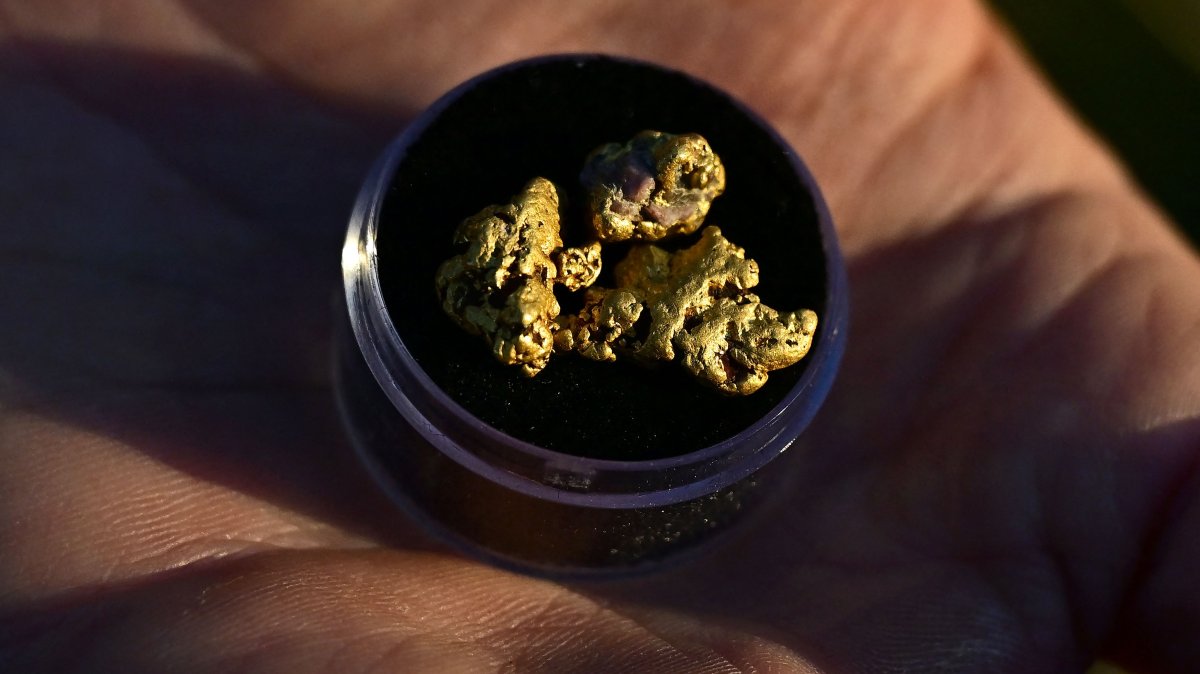 YouTuber Matt James displays some gold he found in the area using his metal detector, El Dorado County, north of Sacramento, California, U.S., Oct. 27, 2025. (AFP Photo)