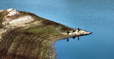 Hasanlar Dam’s water level drops to 30%, half of last year’s level, amid drought in western Black Sea, Bartın, Türkiye, Oct. 17, 2025. (AA Photo)