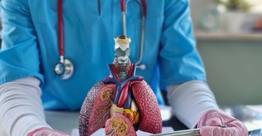 A doctor explains the anatomy of healthy and smoker lungs, including common diseases such as lung cancer. (Shutterstock Photo)