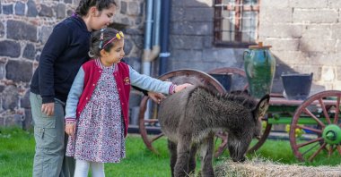 Children petting &quot;Midas&quot; the foal in the garden at Içkale Museum Complex, Diyarbakır, southeastern Türkiye, Nov. 1, 2025. (AA Photo)